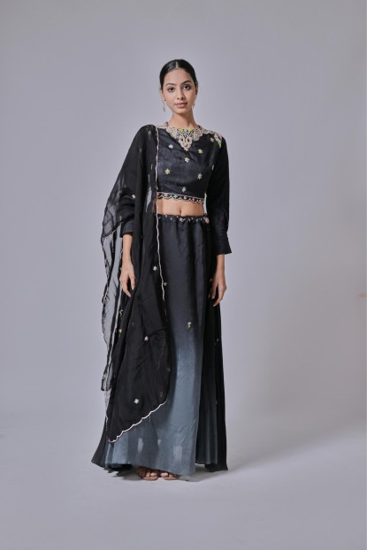 Black Crop Top and Skirt Set with Embroidered Dupatta